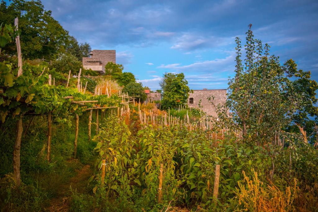 Agriturismo Mare E Monti Agerola Exterior foto