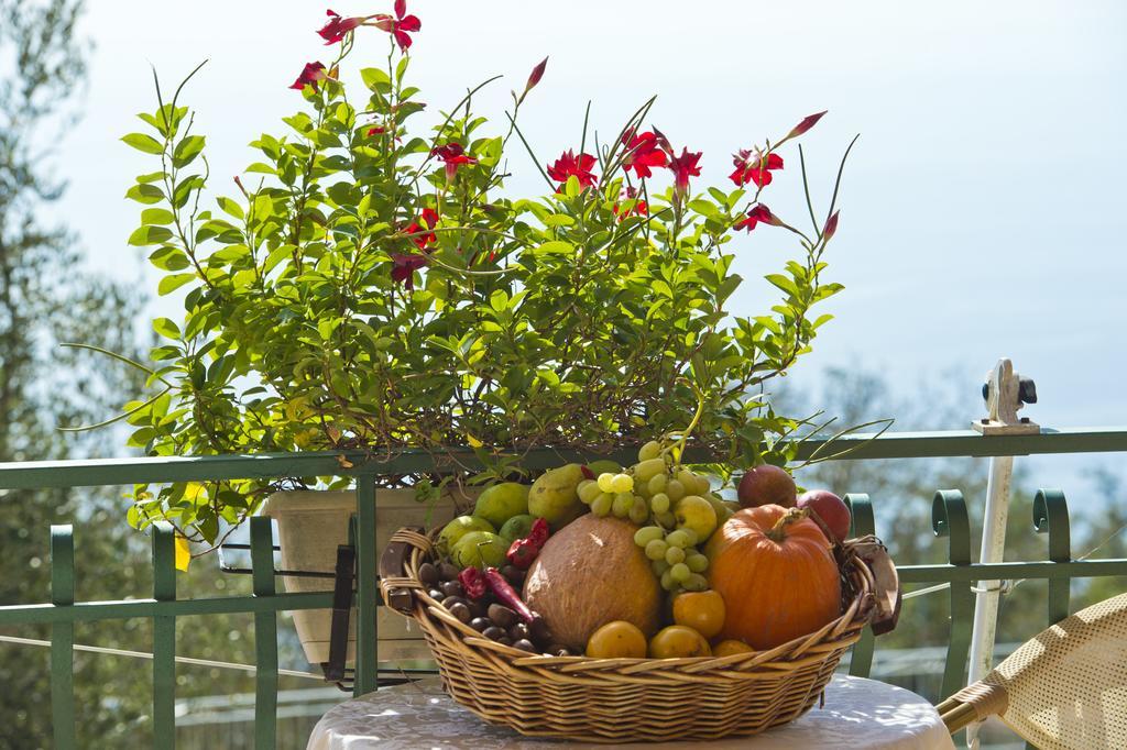 Agriturismo Mare E Monti Agerola Exterior foto
