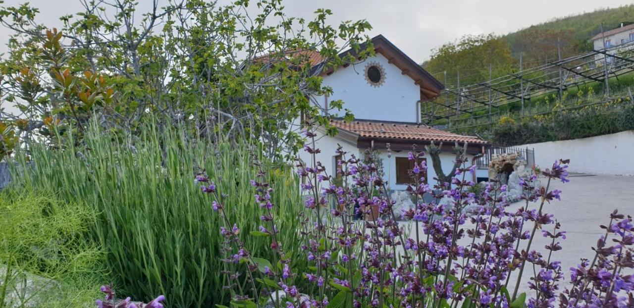 Agriturismo Mare E Monti Agerola Exterior foto